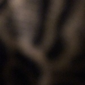 Meet your Posher, Mariam